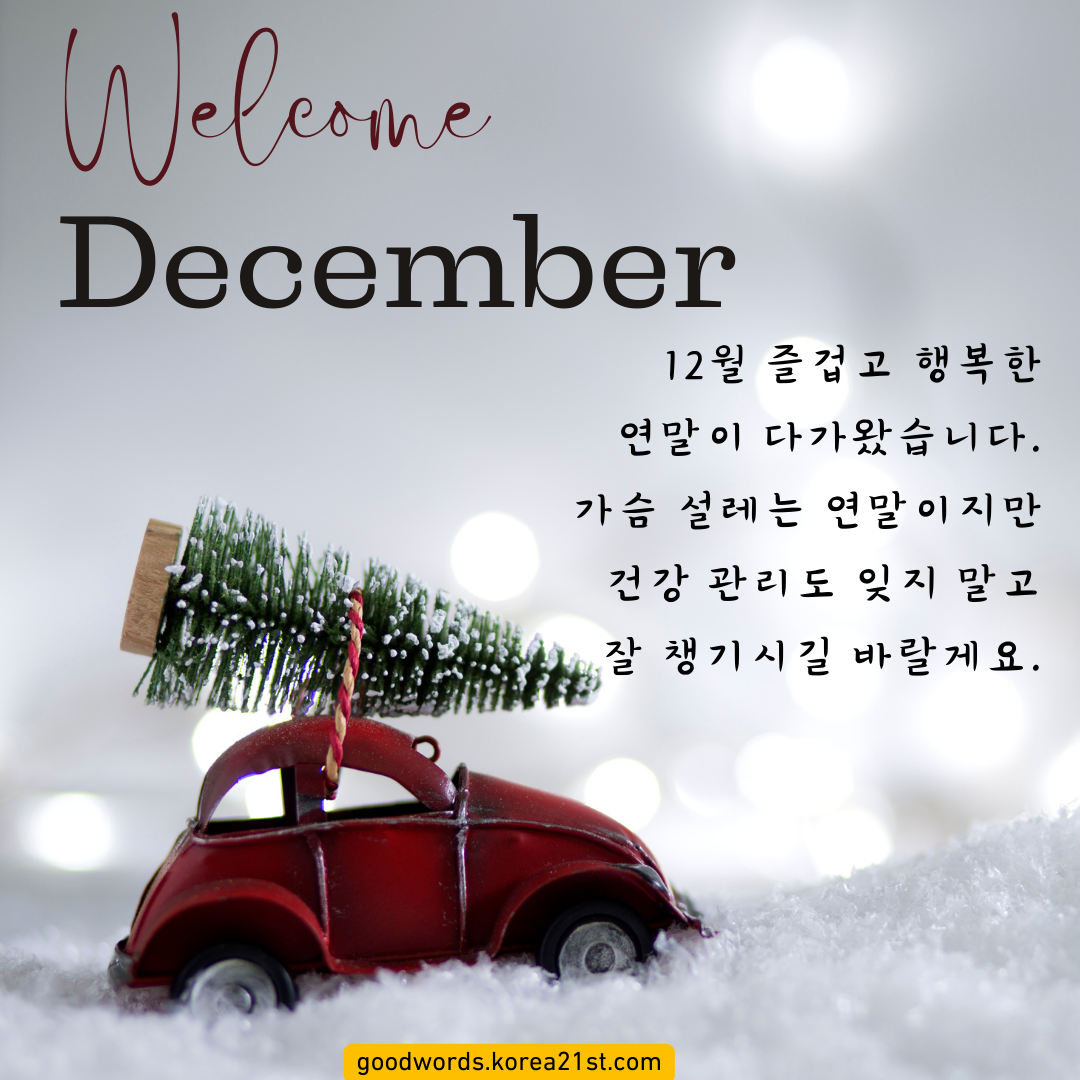 12월 인사말 이미지 문구 모음집 안부 문자 메세지