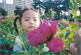 원형 테두리 만들기