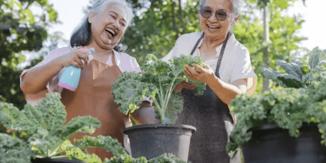 여름철 폭염 속 어르신 건강, '오늘건강' 앱 설치로 지키기 오늘건강어플리케이션