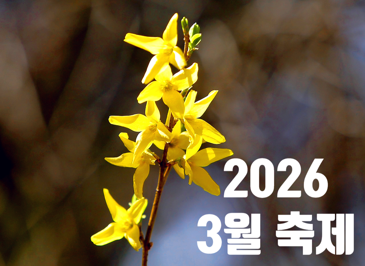 3월축제
