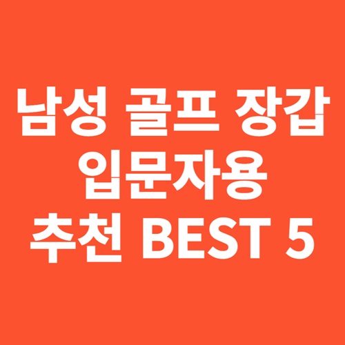 남성 골프 장갑 입문자용 추천 BEST 5