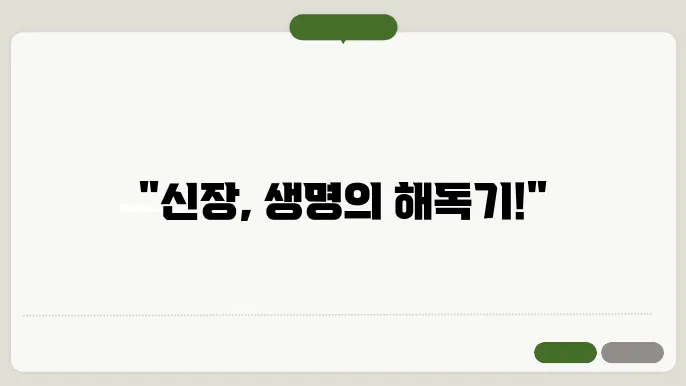 신장 기능의 음방
