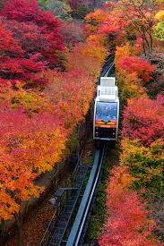 화담숲 모노레일