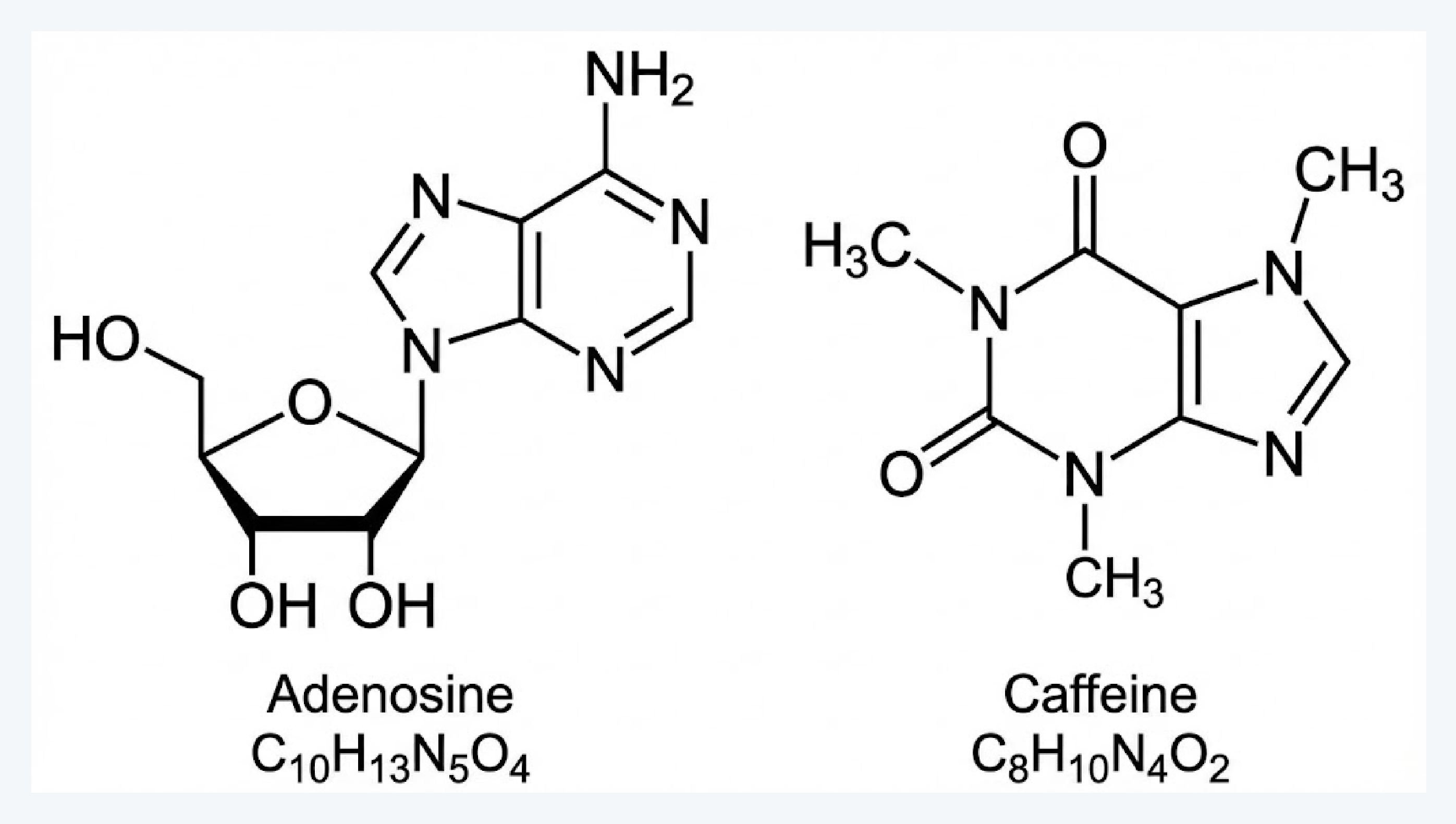 커피, 카페인