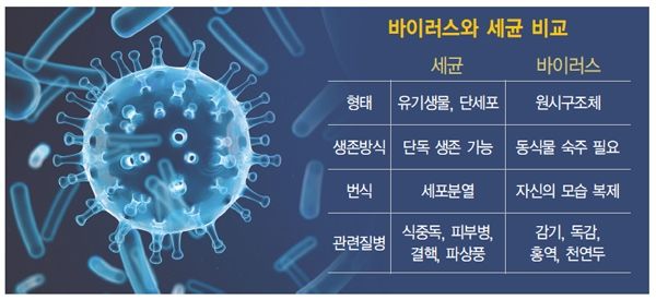 바이러스와 세균