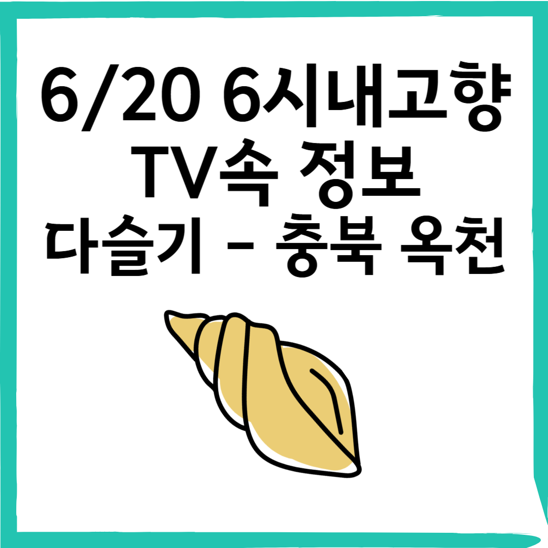 6/20 6시내고향 금강향수다슬기 주문 방법과 효능까지 알려드려요