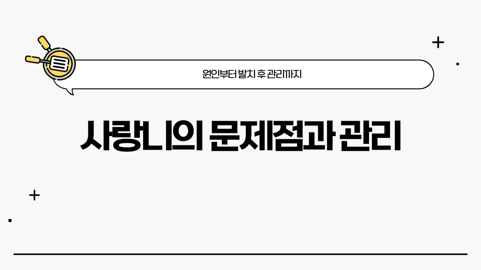 사랑니 발치, 꼭 해야 할까?