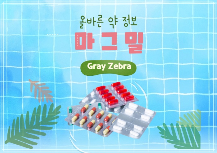 마그밀정 수산화마그네슘