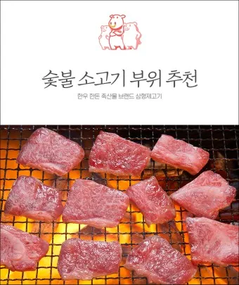 맛있는 국내산 소고기 부위 명칭 특징 조리방식_6
