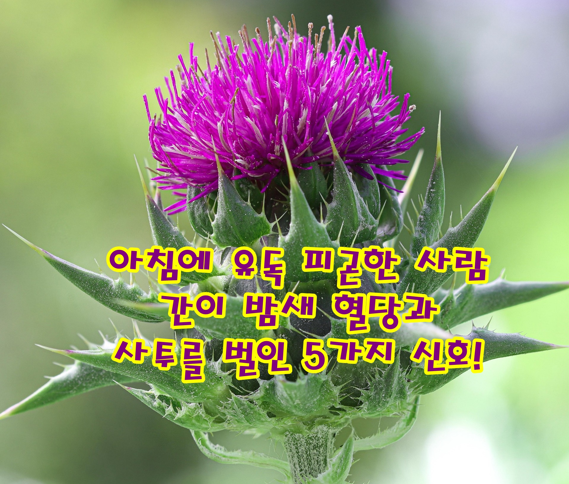 아침에 유독 피곤한 사람, 간이 밤새 혈당과 사투를 벌인 5가지 신호