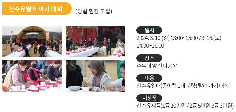 '구례 산수유 꽃 축제'