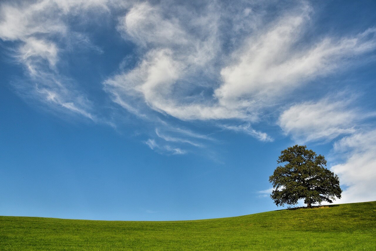 여성건강지원금 신청