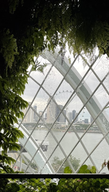 가든스 바이 더 베이 클라우드 포레스트