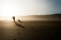 2025 여름 해수욕장 개장 일정 반려동물 해변