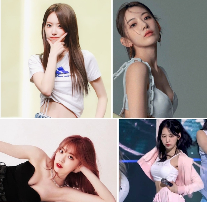 사쿠라