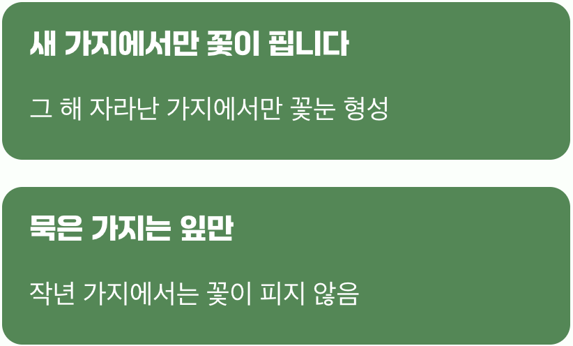 가장 중요한 비밀&amp;#44; &amp;#39;새 가지&amp;#39;에서 피는 꽃