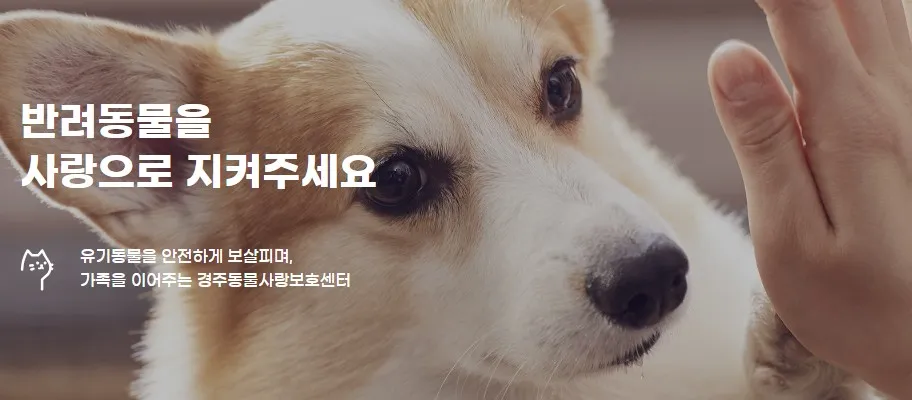 경주동물사랑보호센터