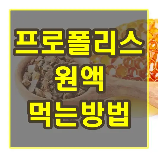 프로폴리스 원액 먹는방법