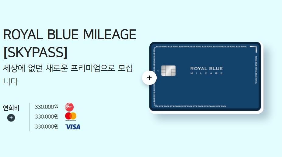 로얄 블루 마일리지[스카이패스]