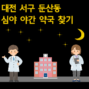 대전 둔산동 심야 야간 약국 찾기