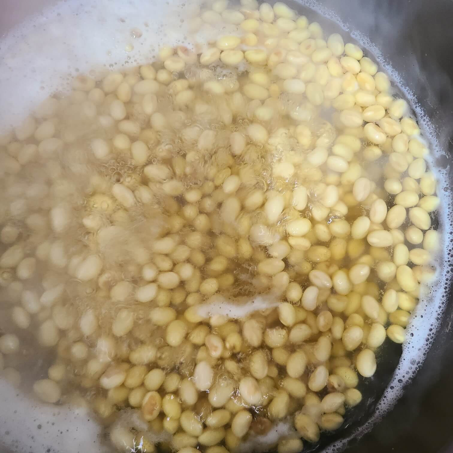 렌틸콩 삶기 메주콩삶기 검정콩 삶기 콩국수콩삶기 병아리콩 삶기 검은콩 삶기 콩삶는시간 콩삶는법 완두콩 삶기 검은콩삶기 생땅콩삶기 소금 넣고 콩 삶기 콩국수 콩삶기 콩 삶기 오쿠 콩삶기 청국장 콩삶기 전기밥솥 콩삶기 검은콩국수 콩삶기 압력밥솥 콩삶기 인스턴트 팟 콩삶기 서리태 콩국수 콩삶기 콩국 콩삶기 압력솥에 콩삶기 압력솥 콩삶기시간 다림 콩삶기