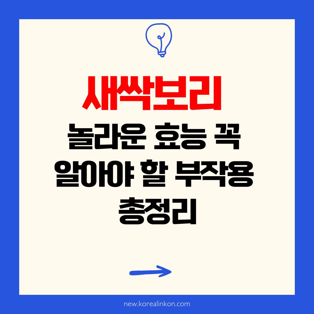 새싹보리 놀라운 효능과 꼭 알아야 할 부작용 총정리
