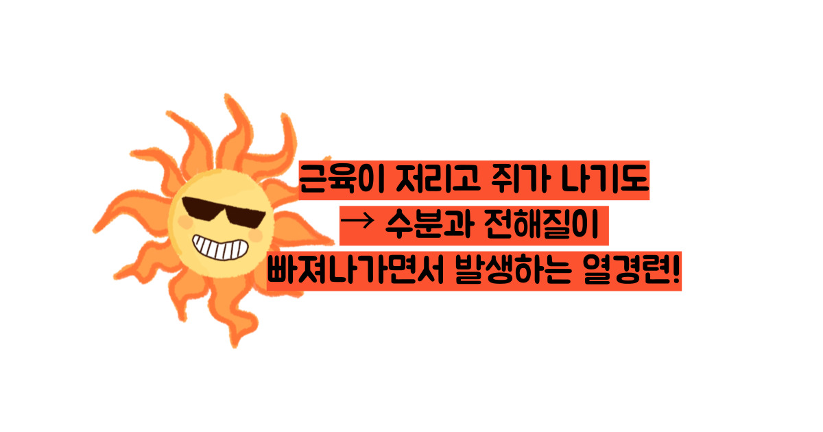 더위 먹었을 때 증상