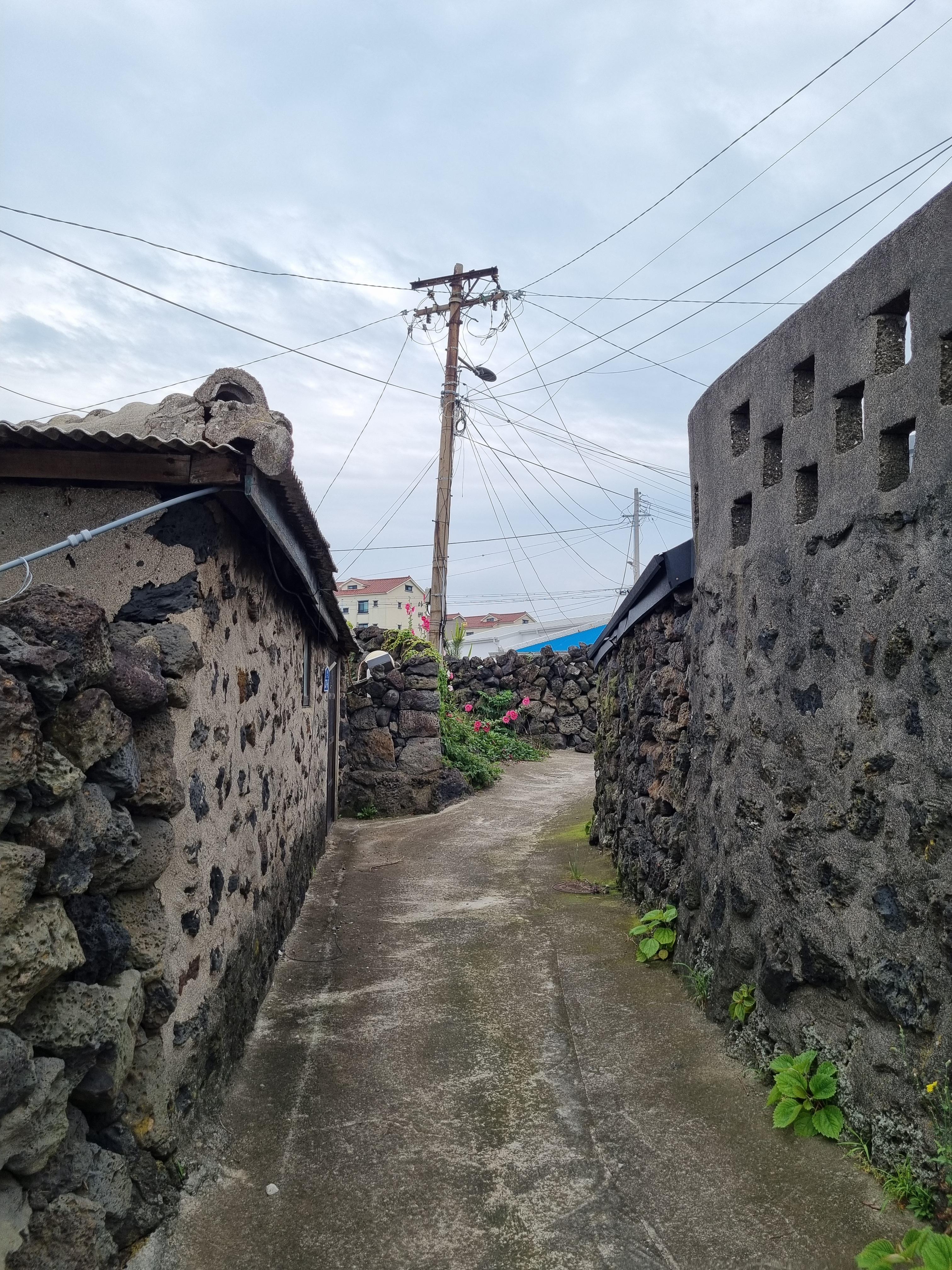 Jeju Olle Trail 18
