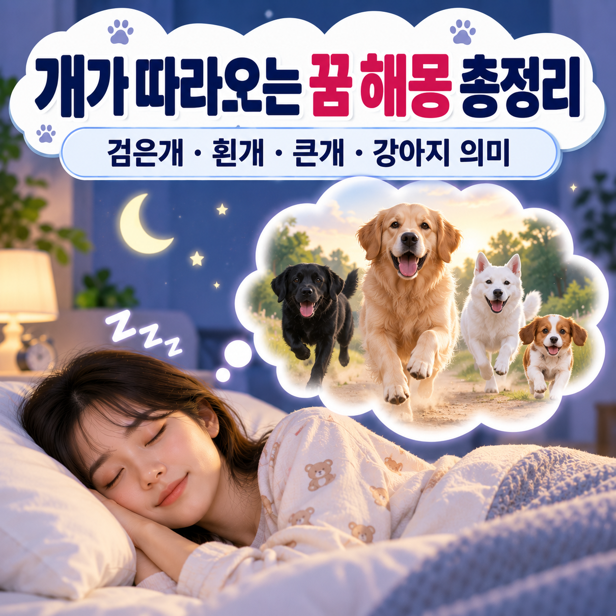 개가 따라오는 꿈