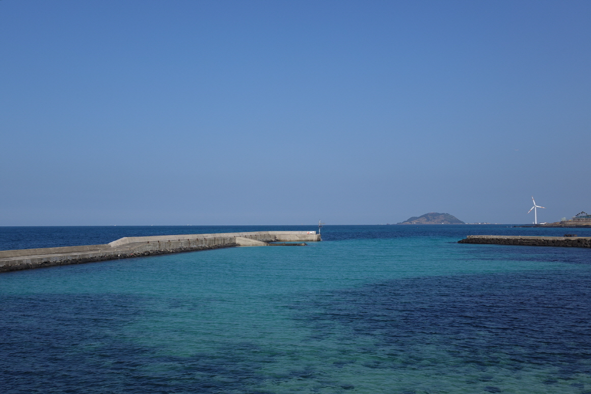 제주도 스노쿨링