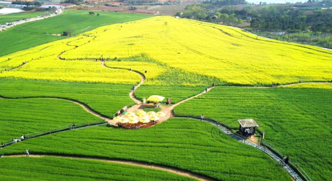 6월 국내여행지 추천 철도&amp;#44;항공권&amp;#44;렌트카 할인 최대50% 받는 방법