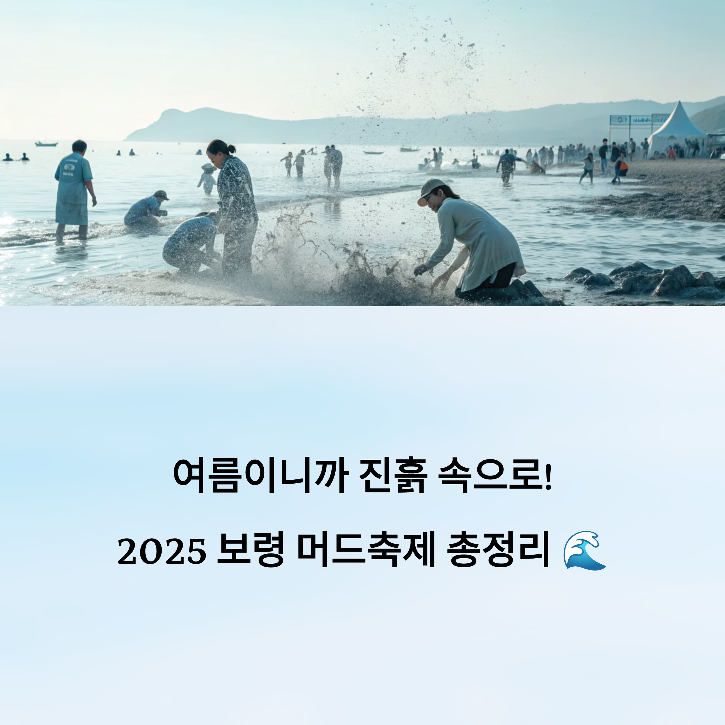 보령머드축제 정리