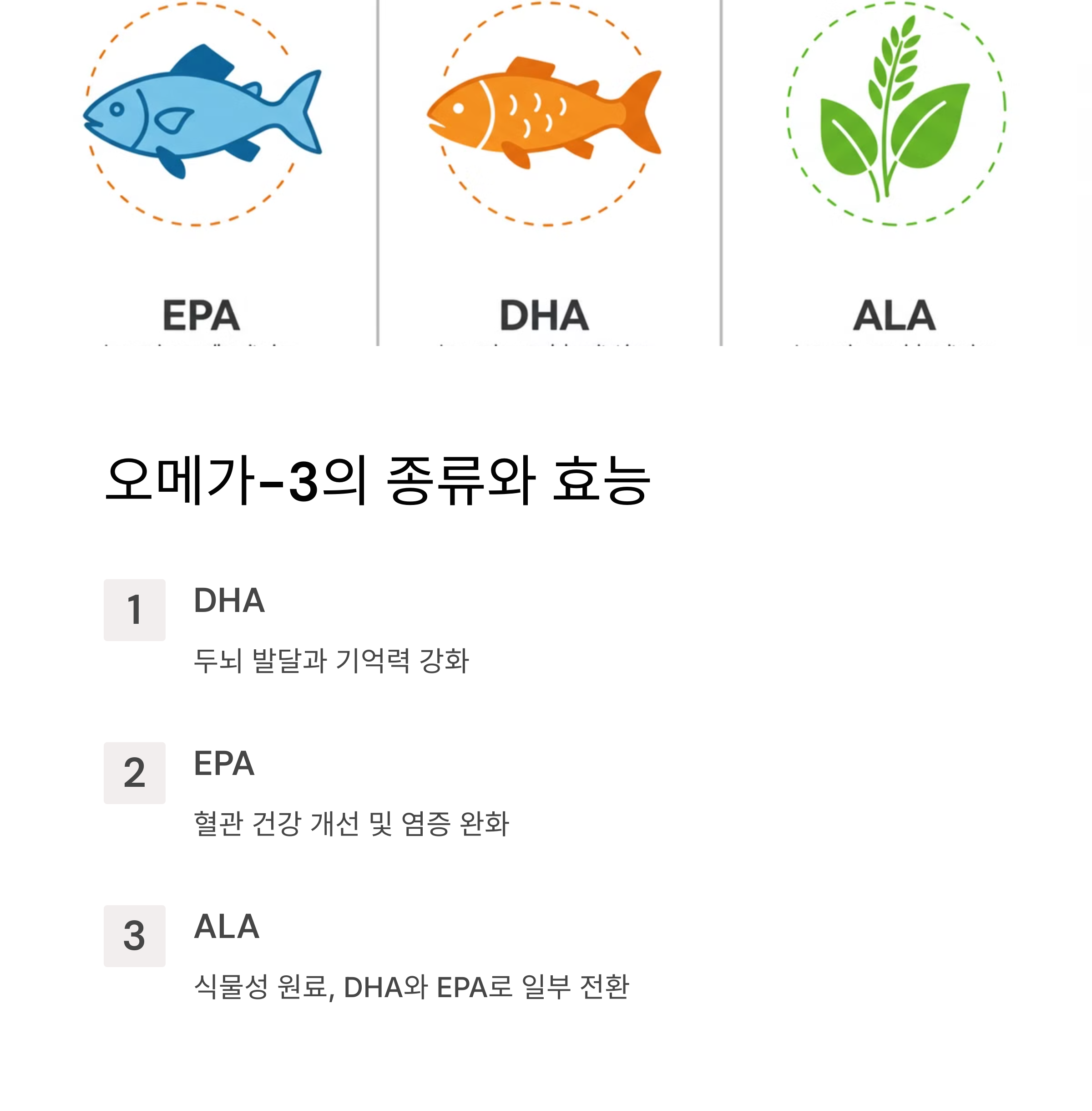 오메가-3 지방산이란 무엇인가?