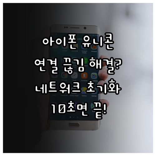 아이폰 유니콘 HTTPS 네트워크 초..