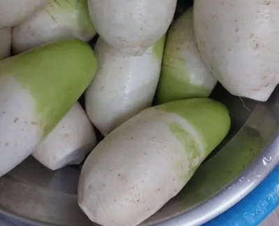 김장김치