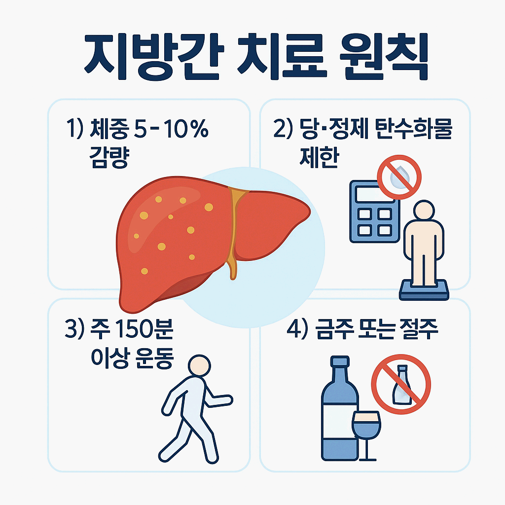 지방간 치료