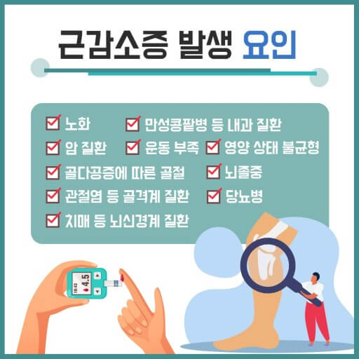 근감소증의 원인