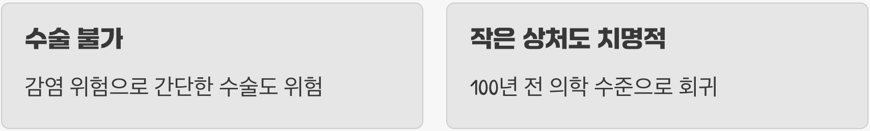 항생제 없는 시대의 공포