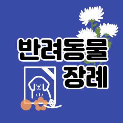 반려동물-장례업체-장례절차-대표섬네일