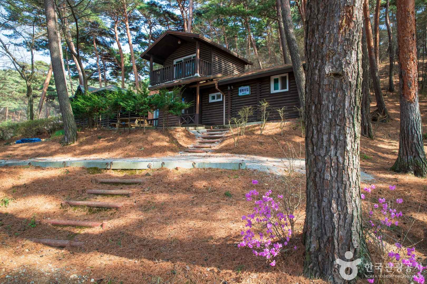 안면도자연휴양림