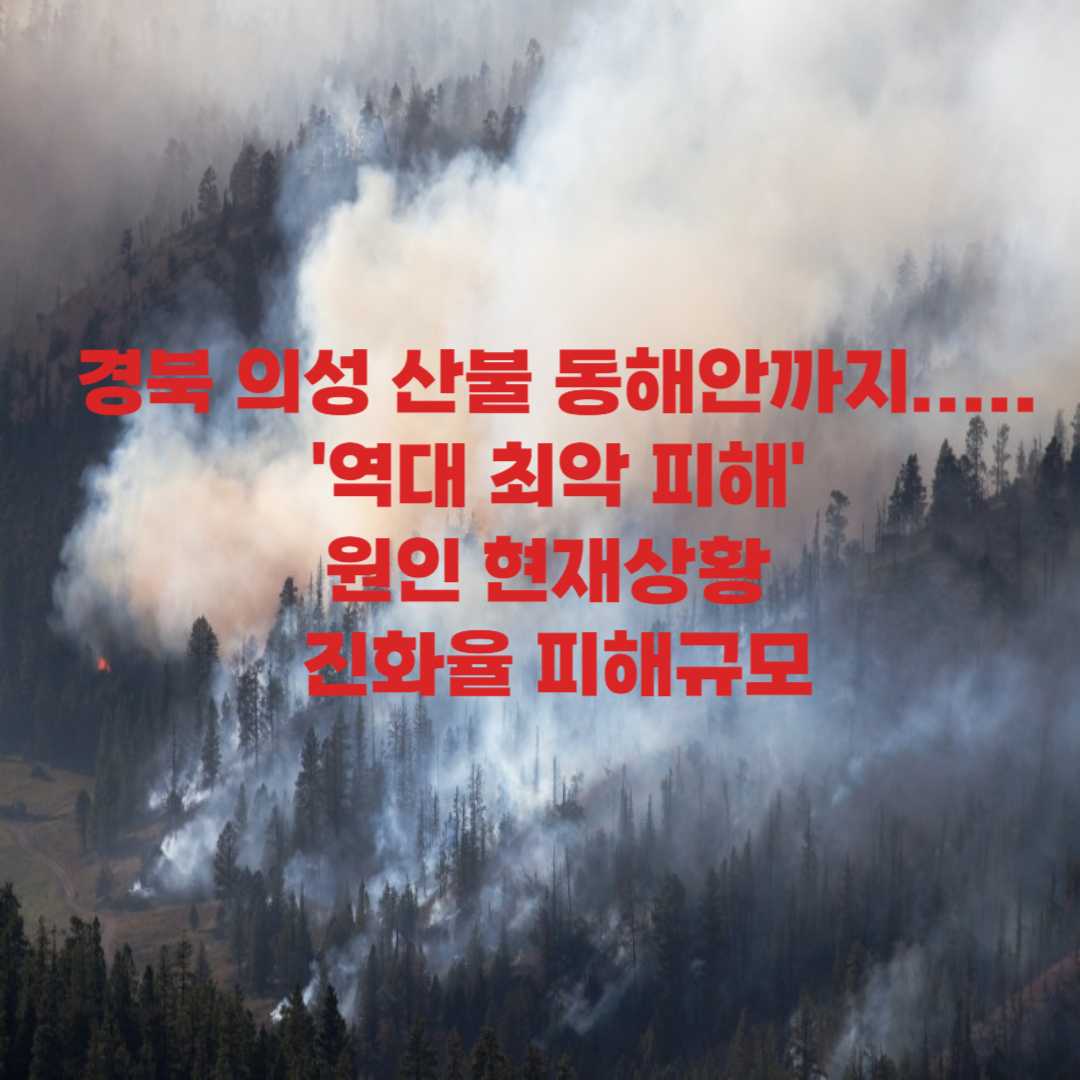 산불