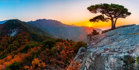 팔공산 단풍축제