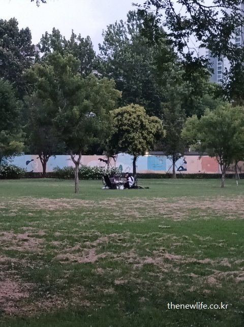 잠실 한강공원 물놀이장 잔디밭 한가운데 설치된 텐트와 나무들