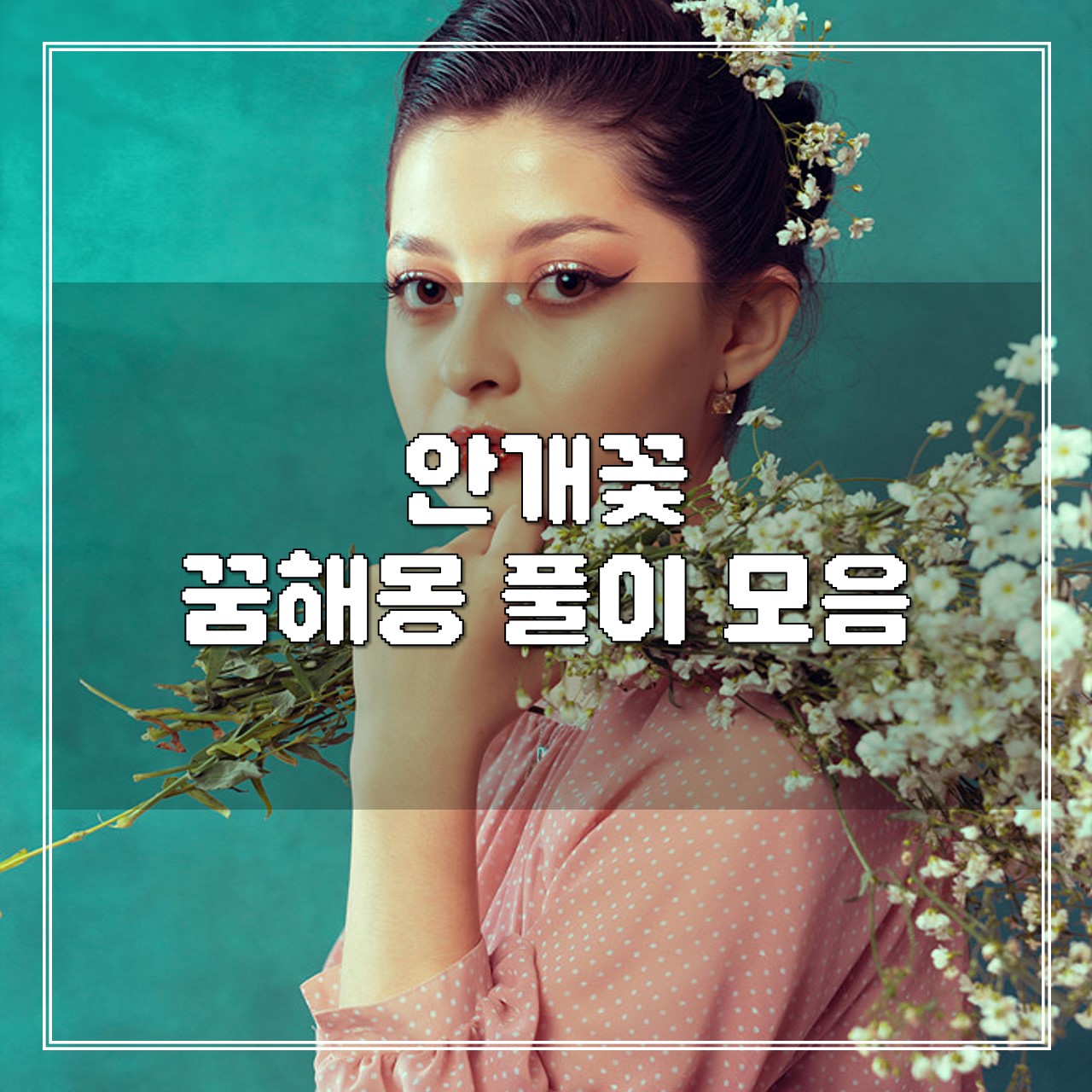 안개꽃 꿈, 꿈해몽 풀이 모음 썸네일