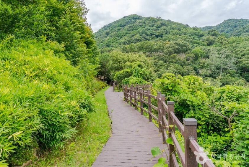 구미 가볼만한곳 베스트 10