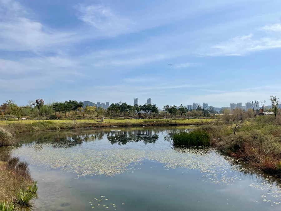 국립 세종수목원 한국전통정원 여행