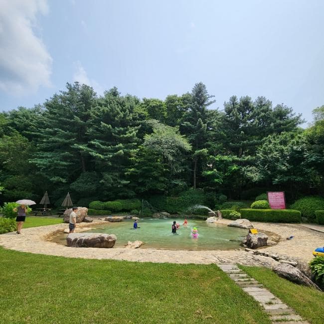 [아이 동반, 서울 근교 여행지]경기도 포천 서운동산｜딸기, 블루베리, 옥수수, 먹이주기, 밤줍기 등 체험 가득한 가족 여행지