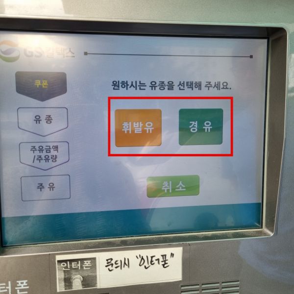 유종-선택