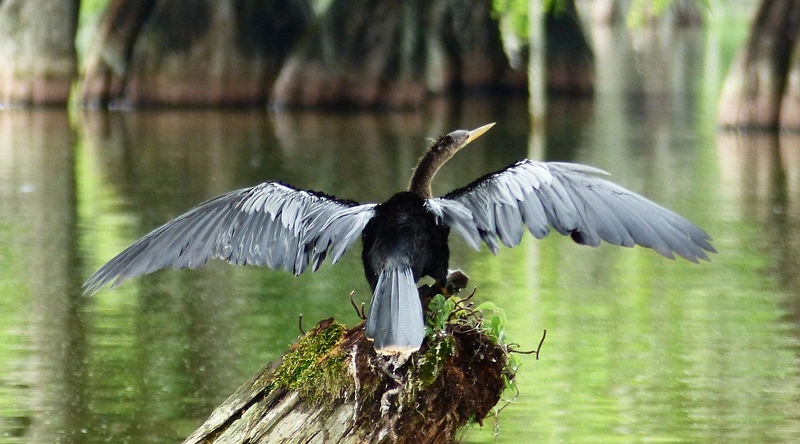 정보처리기사 시험 과목 및 구조
