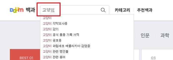 검색창에 '고양이'라고 입력하고 검색하는 모습